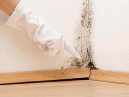 Woodcreek, TX Mold Remediation Company